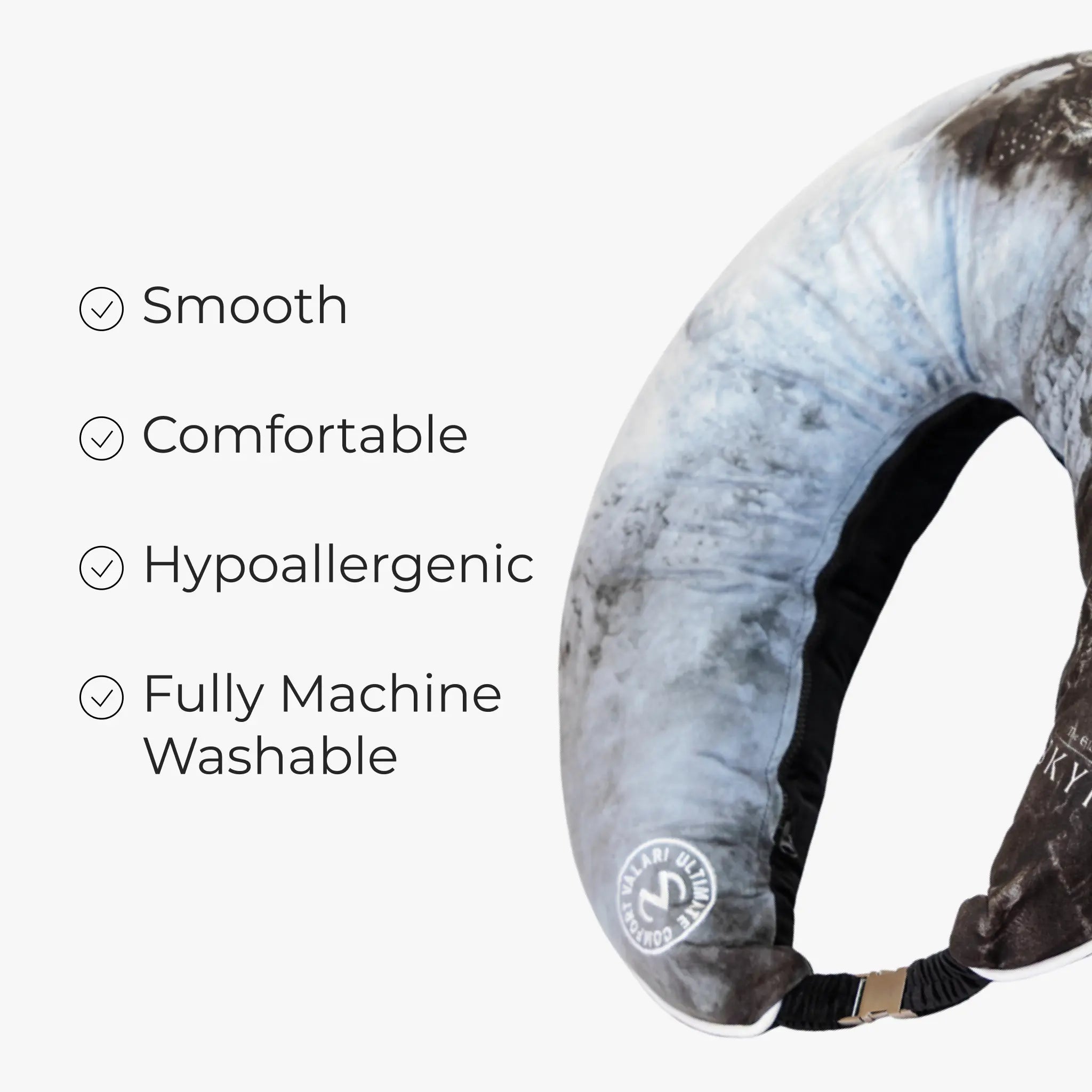 Bethesda Skyrim Cover